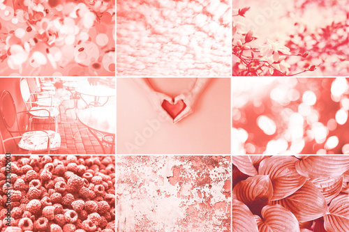 Collage made of nine photos in trendy living coral color. Trendy color of the 2019 Living Coral. photo