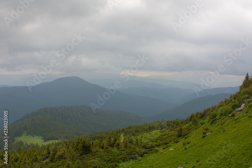 Summer day in the mountains