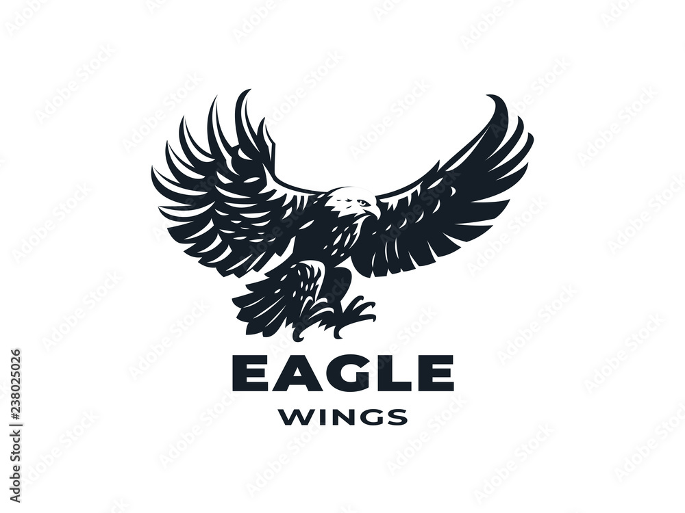 Eagle or hawk with outstretched wings. Eagle or hawk with outstretched wings.