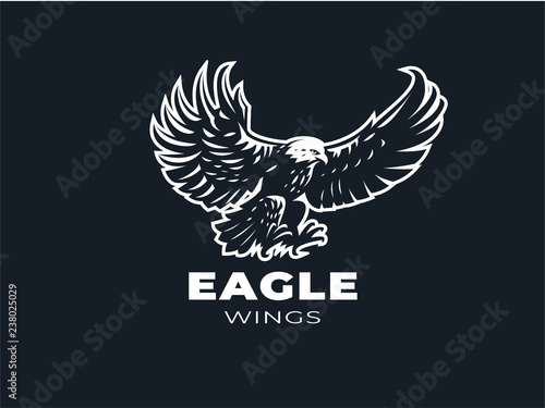Eagle or hawk with outstretched wings. 