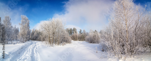 панорама заснеженного леса с грунтовой дорогой, Россия, декабрь © 7ynp100