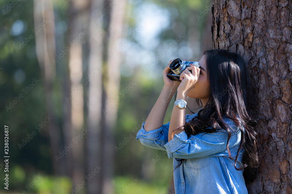 Woman's hands holding camera and snapping photos hidden in the pine wood.