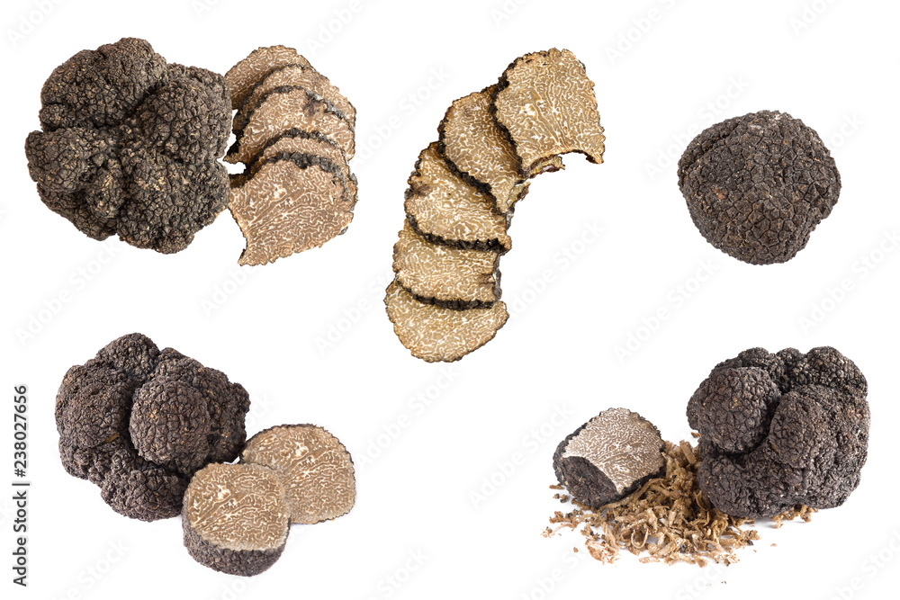 Fotografie collection set with Black truffles isolated on a white background