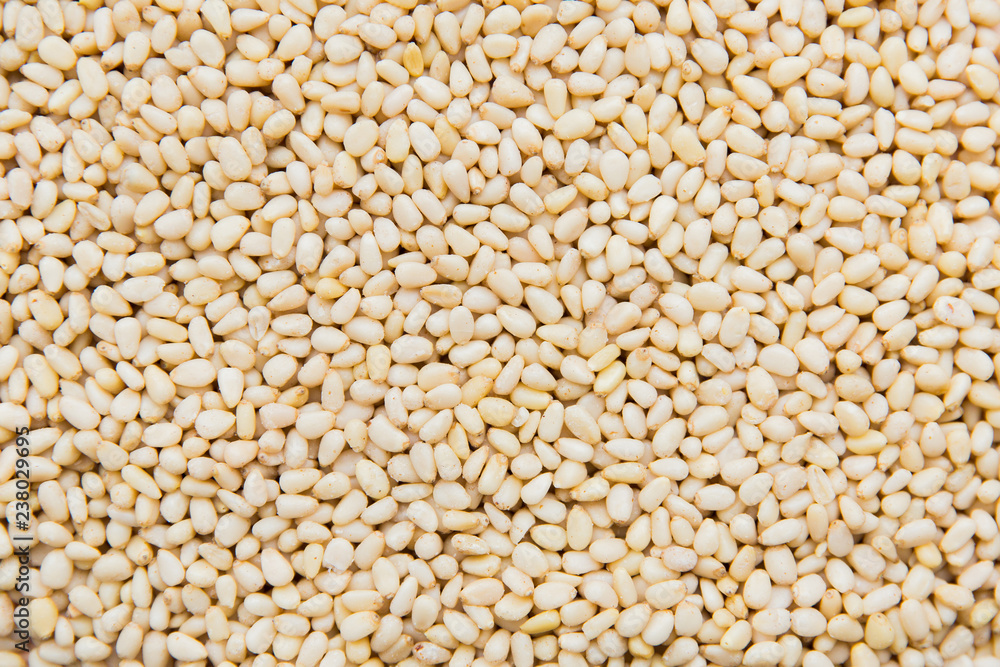 Texture of pine nuts. Pine nuts background. Template of nuts Texture of pine nuts. Pine nuts background. Template of nuts