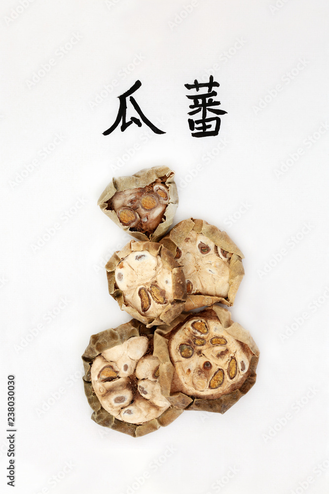 Chinese cucumber herb used in chinese herbal medicine with calligraphy script, used for chest and lung infections. Translation reads as chinese cucumber. Gua Lou. Fructus trichosanthis kirlowii. Chinese cucumber herb used in chinese herbal medicine with calligraphy script, used for chest and lung infections. Translation reads as chinese cucumber. Gua Lou. Fructus trichosanthis kirlowii.