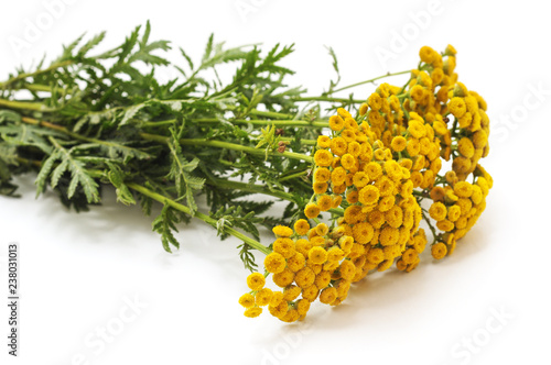 Bouquet of yellow flowers.