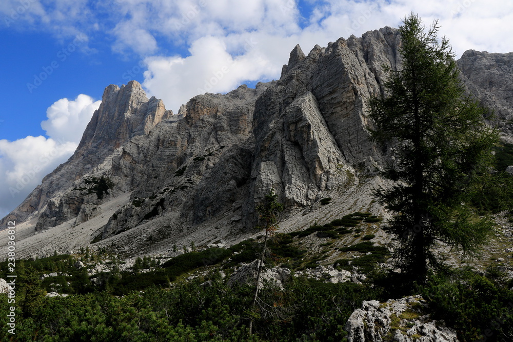 Paesaggio alpino con massiccio montuoso in evidenza - Valle Civetta - Dolomiti - Italia 