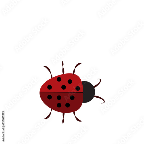 Ladybug sign in the frame. Beautiful red ladybird icon isolated on white background. Bright cute spotted insect cartoon. © yadviga2012