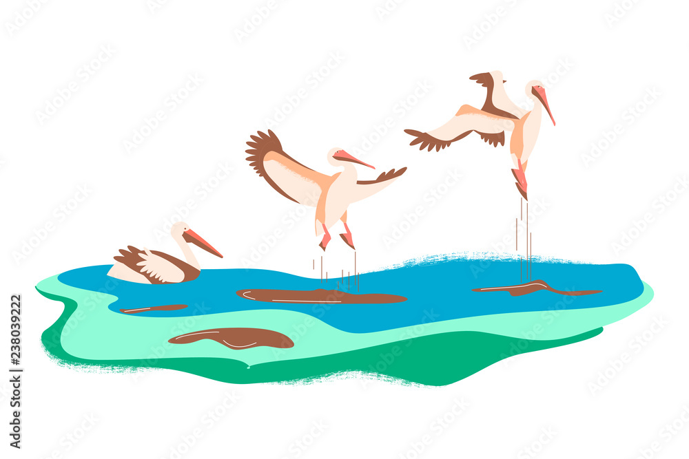 Cartoon pelicans in different poses