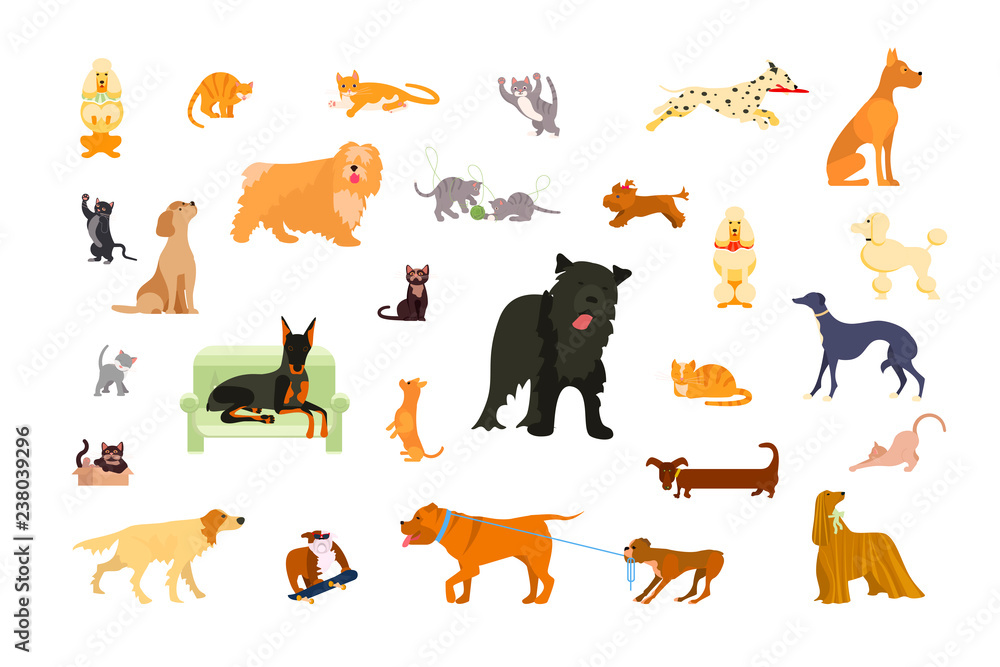 Big set of Cats and dogs
