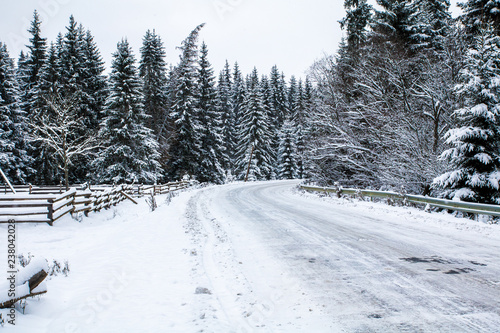icy road in snow mountains, spruce forest around