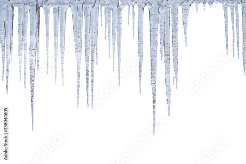 Fototapet Winter icicles hang from top, isolated on white background