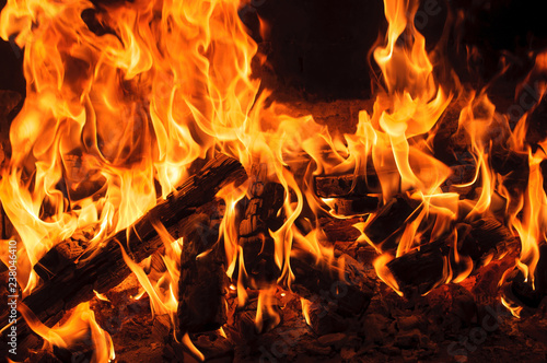 burning wood in a fireplace. Closeup view