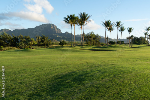 Haupu Mountain dominate the view over a golf course with palm trees and grass in the foreground, Poipu, Kauai, Hawai'i photo