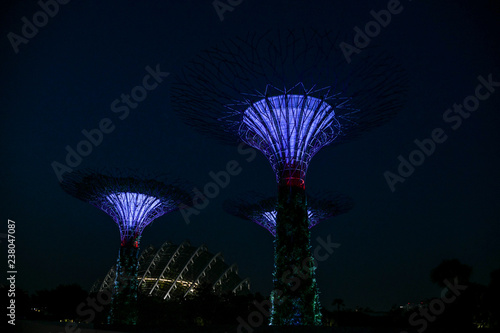 Supertrees in Gardens By the Bay, situated in marina bay area in Singapore, it's a new design garden with innovative