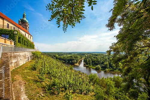 Vineyard in front of the castle Mělník Bohemia Czech Republic photo