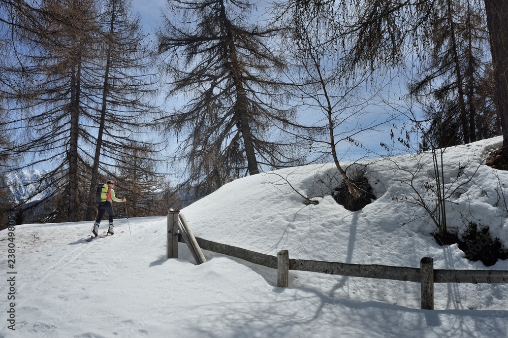 Fototapeta premium Skimountaineering in Val di Sole. Bolentina 