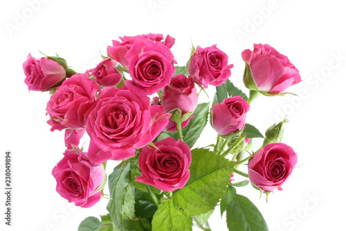 Bouquet of small pink roses isolated on white background