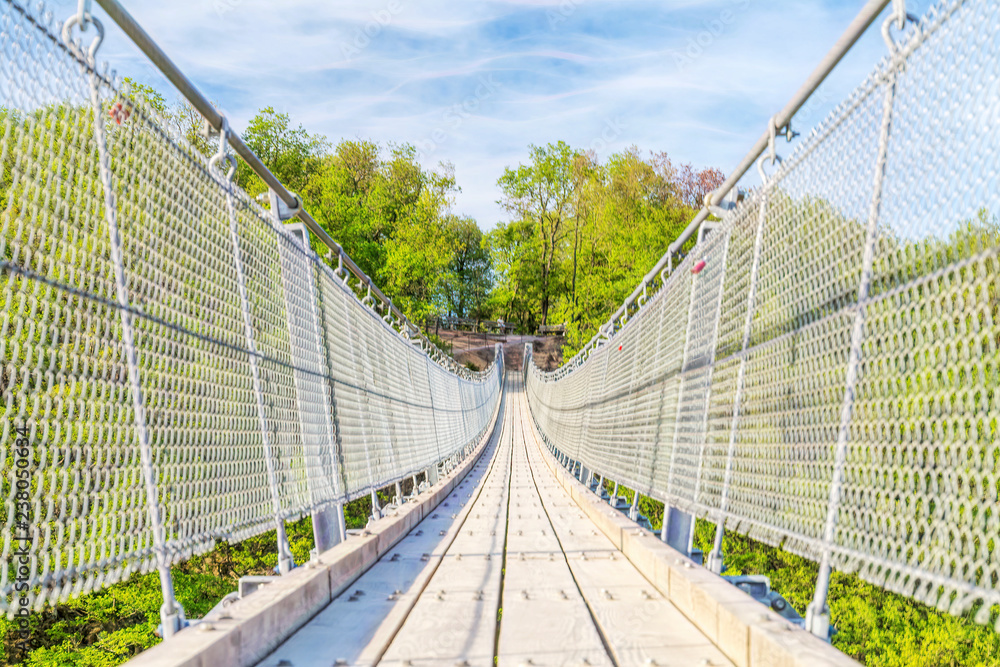 the Geierlay suspension bridge