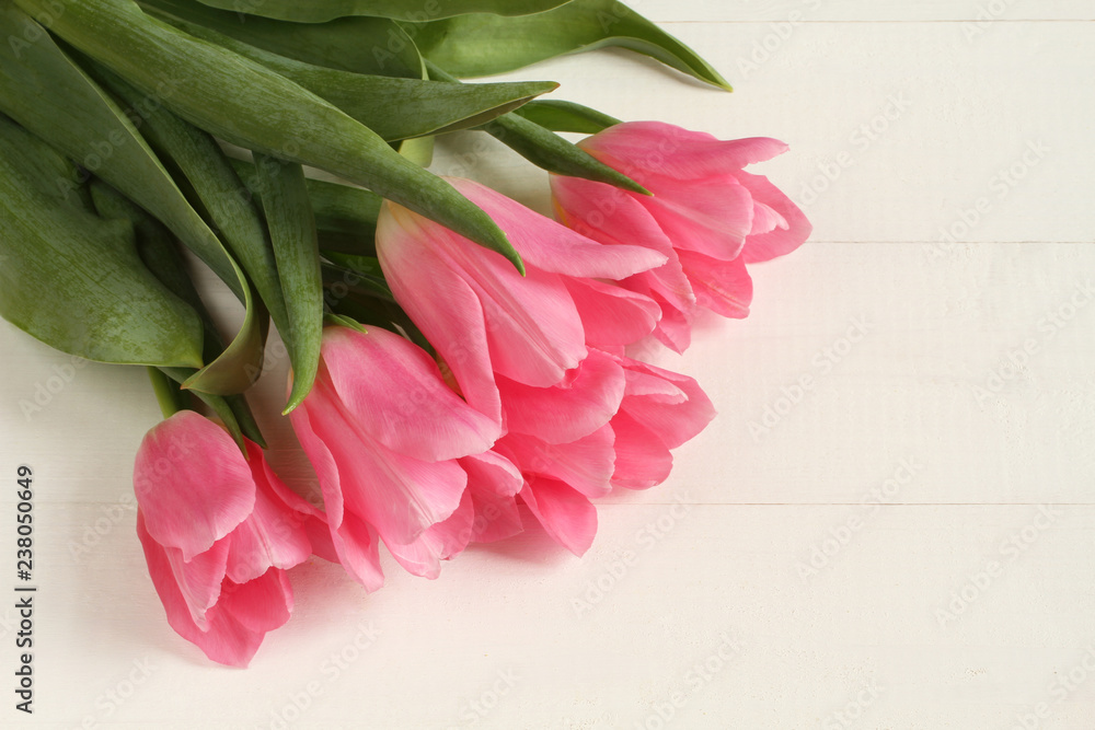 Pink tulip flowers on white painted wooden table Pink tulip flowers on white painted wooden table