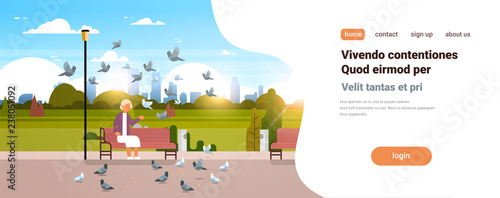 senior woman feeding flock of pigeon sitting wooden bench urban city park cityscape background horizontal copy space flat