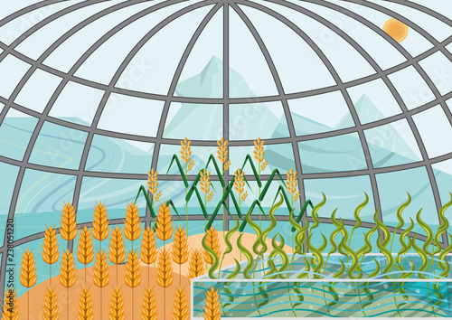 Closed ecological system. Concept of use. A self-sustainable bio station with plants: wheat, rice, algae in extreme weather conditions of arctic and antarctic deserts. View from inside of bio station