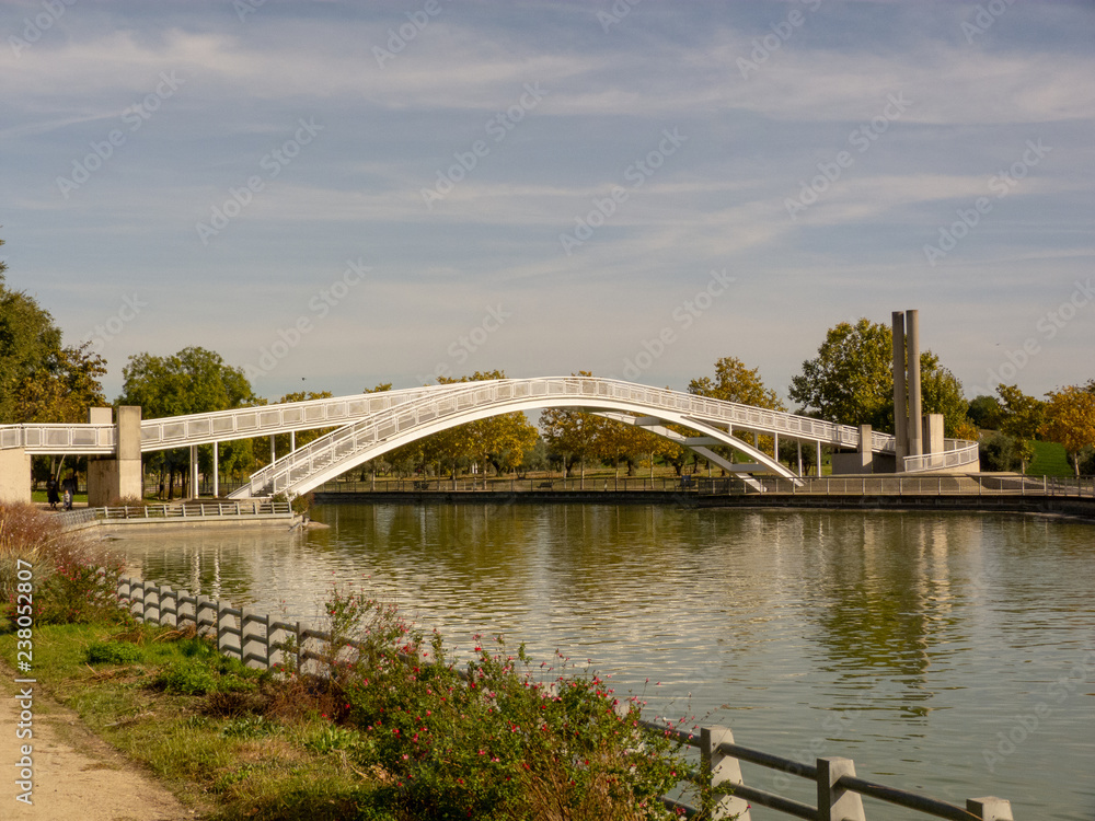 Fototapeta premium Bridge over the river