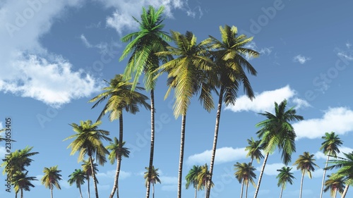 Palm trees against the sky with clouds, tropical view, © ustas