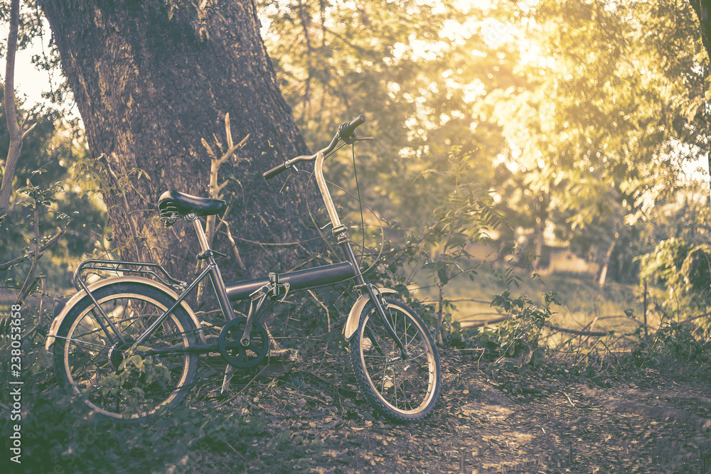 Vintage Bicycle in a park with light tone.