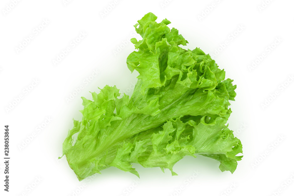 Lettuce leaf isolated on white background close up Lettuce leaf isolated on white background close up
