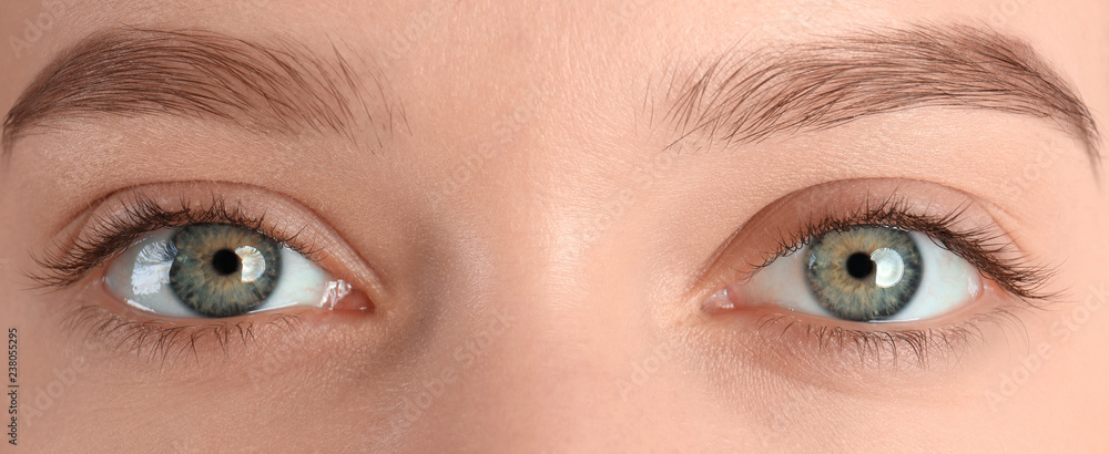 Obraz premium Closeup view of beautiful young woman with natural eyelashes