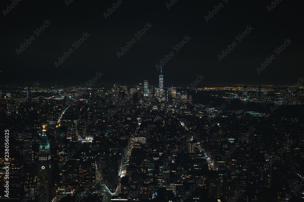 The New York City Skyline at night
