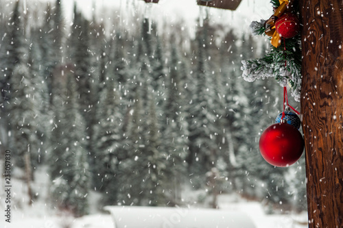 Ready for New year in pine ...