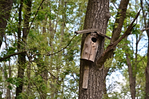 Old birdhouse on a tree.