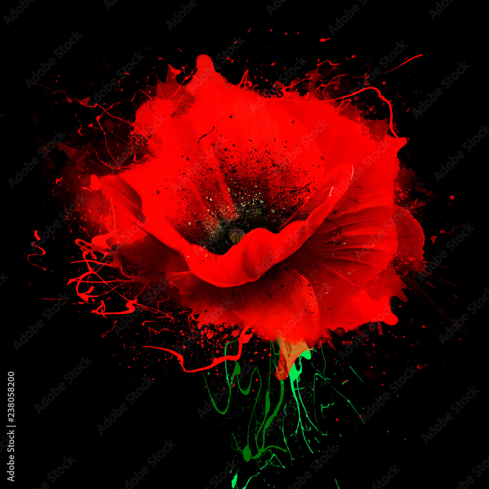 Beautiful red poppy with splashes of paint on black background. Idyllic artistic image of hot summer, copy space - obrazy, fototapety, plakaty 