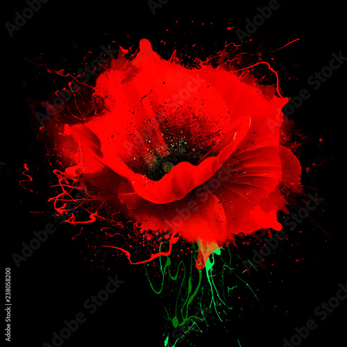Beautiful red poppy with splashes of paint on black background. Idyllic artistic image of hot summer, copy space