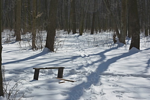 Bench on winter meadow.