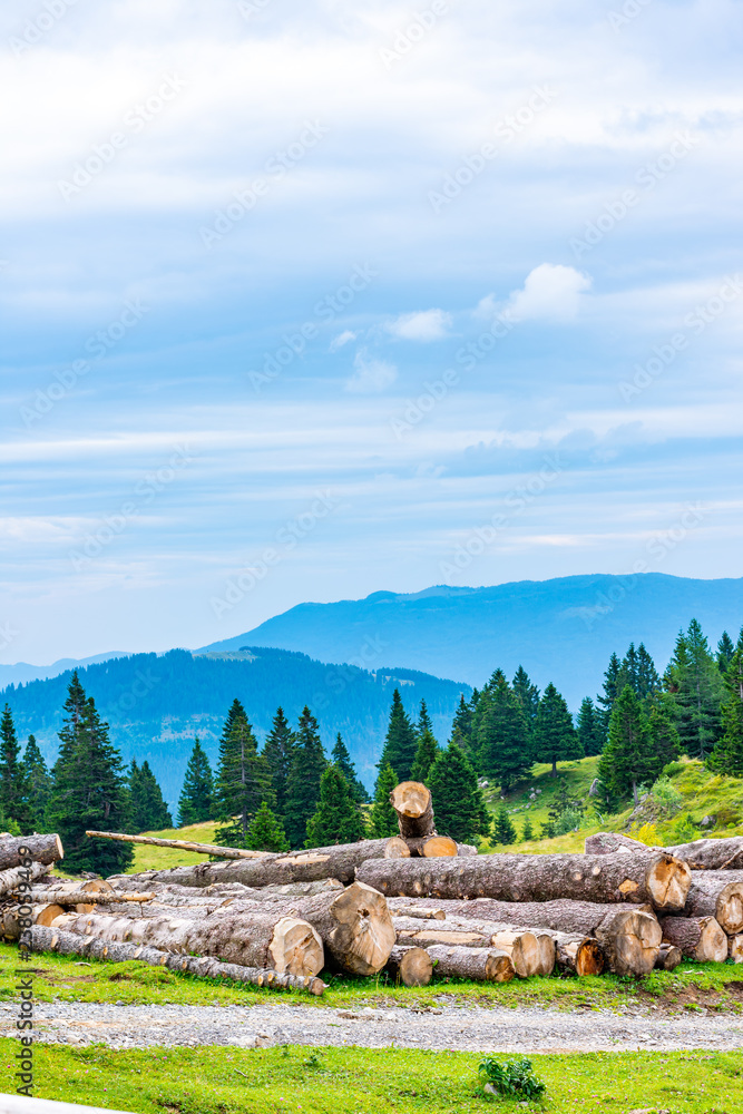 Felled trees near pasture in Slovenia Alps, city Kamnik. Wood in foreground, forest and mountains in background