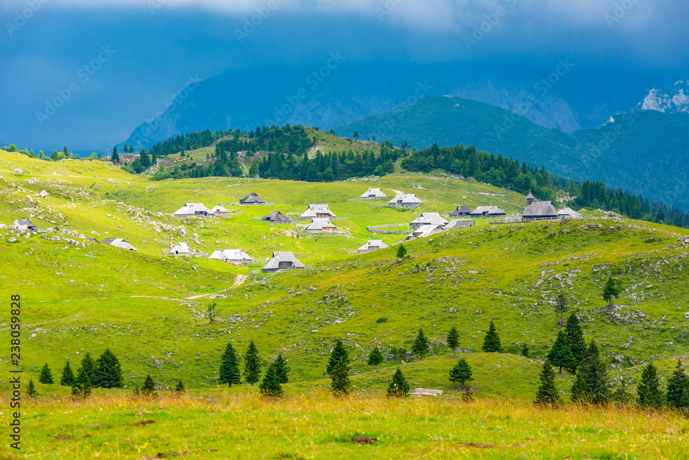 Slovenia velika planina (big plateau), agriculture pasture land near city Kamnik in Slovenian Alps. Wooden houses on green land used by herdsmen. Mountain village with big pasture plateau.