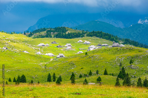 Quadro su tela Slovenia velika planina (big plateau), agriculture pasture land near city Kamnik in Slovenian Alps