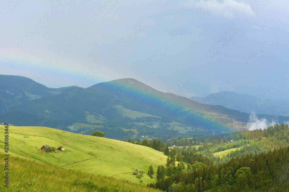 Summer day in the mountains