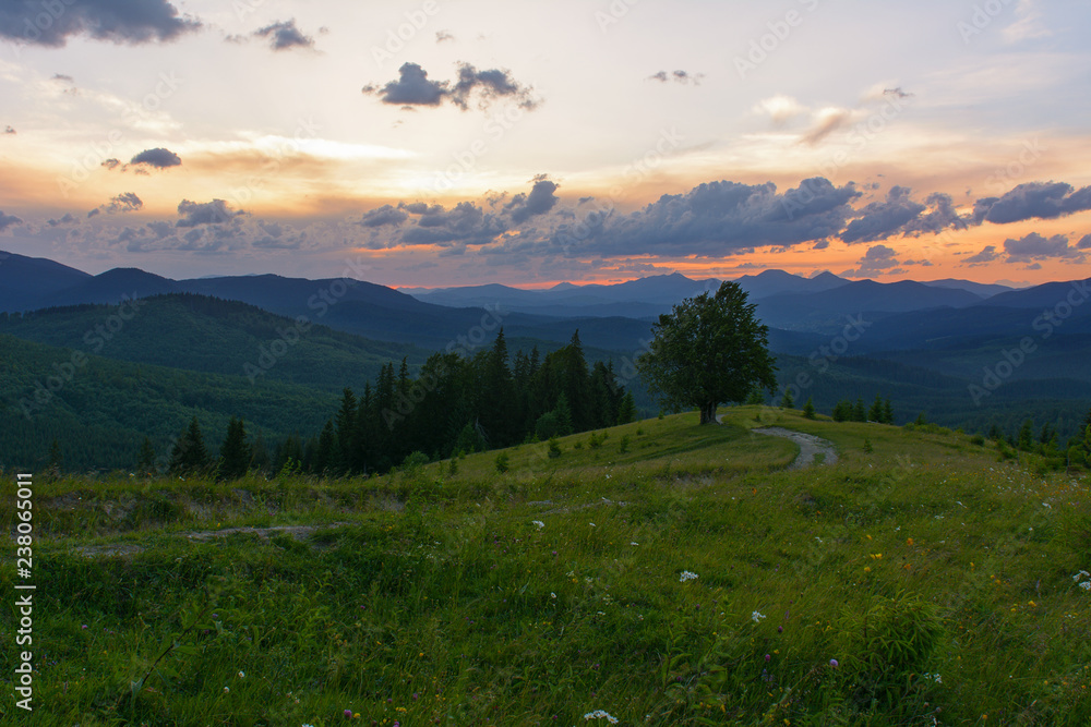 Sunset in the mountains in the summer.