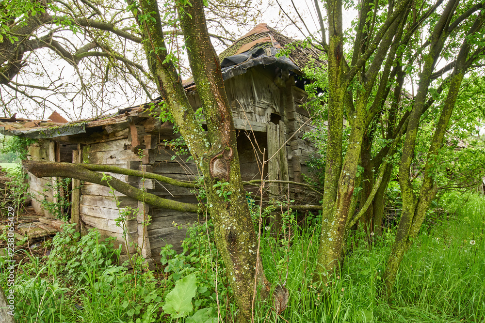 Old ruined house