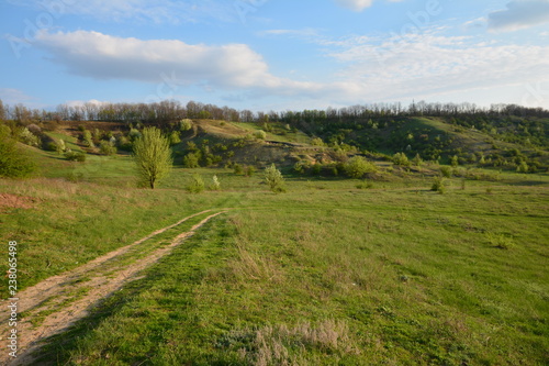 Ukrainian landscape.