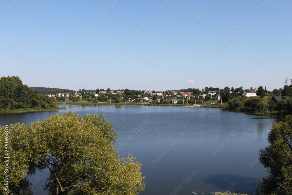 view of the lake from the shore through the trees. Sunny day, blue sky. Countryside