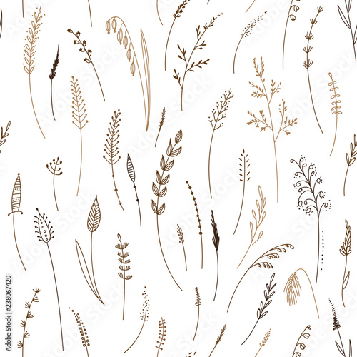 Vector seamless pattern of herbs, plants, flowers and leaves, cereals