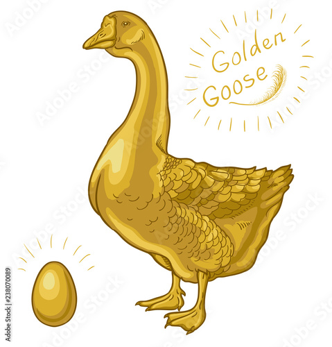 Golden Goose, goose on a white background, golden egg