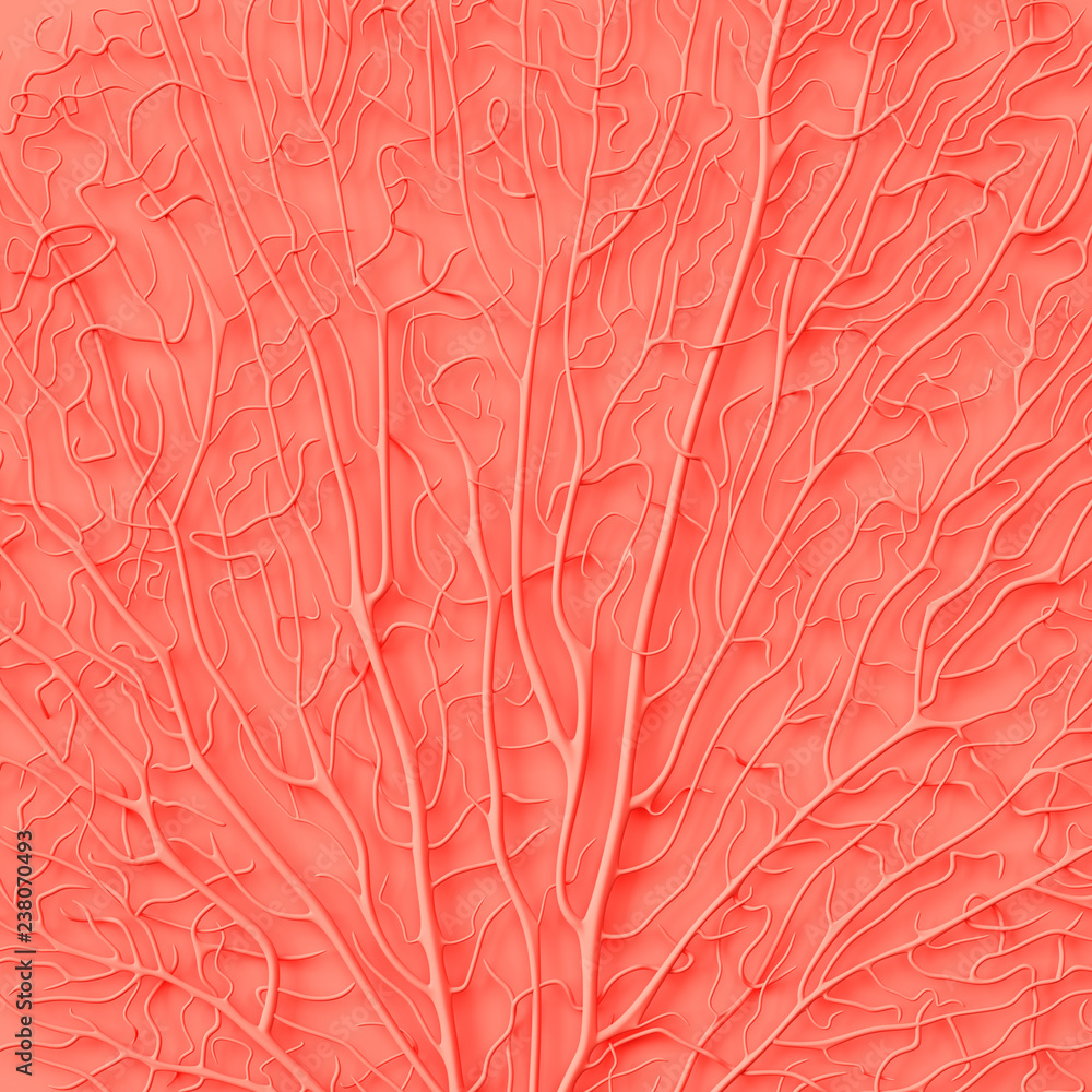 Fototapeta Żywy koralowy kolor roku 2019. Tło z koralem w modnym kolorze