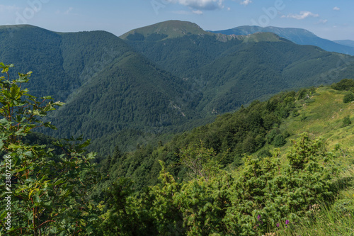 Wallpaper Mural Beautiful mountain view from the entrances on the path to the Eho hut. The Troyan Balkan is exceptionally picturesque and offers a combination of wonderful mountain scenery, fresh air. Torontodigital.ca