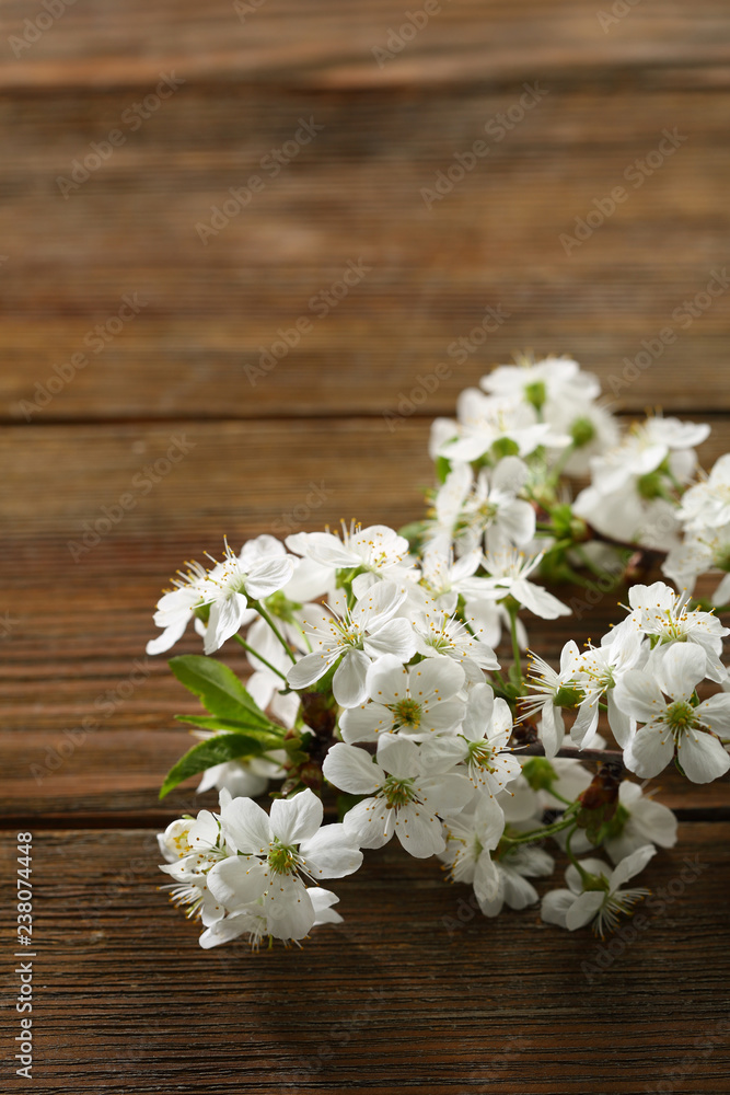 Spring cherry branch on wood Spring cherry branch on wood